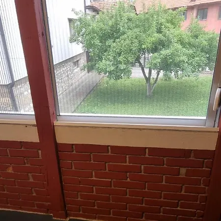Mini 3 *